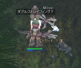 10011500.jpg